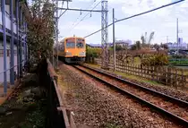 In den Vororten der Riesenstadt Tokyo: Zug 249/250 des Seibu Konzerns bei einer Plantage mit einer Unmenge leuchtender Mandarinen. Seibu Tamagawa Linie, 14.November 2018  