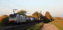 186 449-5 von Lineas/Railpool kommt aus Richtung Aachen-West und fährt die Gemmenicher-Rampe hochgefahren mit einem langen Containerzug aus Gallarate(I) nach Antwerpen-Noord(B) und fährt in Richtung Montzen/Belgien. 
Aufgenommen an der Montzenroute am Gemmenicher-Weg.
Bei schönem Herbstwetter am Nachmittag vom 4.11.2018. 