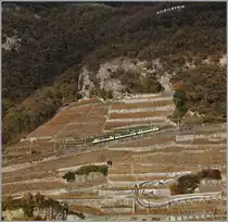Oberhalb einer in die Wein-Terrassen-Stützmauern eingearbeiteten Eidechse fährt der AL Regionalzug 352 bergwärts nach Leysin.
18. Nov. 2018