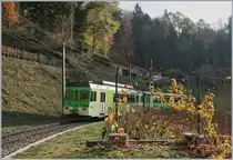 Eine neu entdecke Fotostelle oberhalb von Aigle zeigt den ASD BDe 4/4 404 mit seine Bt auf auf dem Weg nach Aigle im bunten Spätherbst-Laub.
18. Nov. 2018