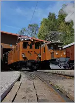 Zwei Ge 4/4 und doch so unterschiedlich: die B-C Bernina Bahn Ge 4/4 81 und das RhB Bernina Krokodil Ge 4/4 182 beim Jubiläum  50 Jahre Blonay Chamby - MEGA BERNINA FESTIVAL  in Chaulin beim  Alignement .
8. Sept. 2018