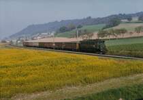 ZUCKERRÜBENKAMPAGNE ARBERG 1995
Erinnerungen an die fotogenen Ae 4/7 im Rübendienst.
Die Aufnahmen sind entstanen in Büren an der Aare, bei Busswil, bei Kerzers, vor Chavornay sowie in Chavornay während den Monaten Oktober-November.
Foto: Walter Ruetsch
