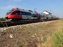 4124 004-5 als S60(26023)kurz vor dem Zielbahnhof Bruck/L, und die Schnecke am Grashalm; 180801