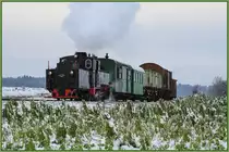 Es grünt so grün ,... Unmittelbar vor dem Bahnhof Kraubath in der Weststeiermark am 16.12.2018
