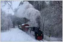 764-411R der Stainzer Bahn am 16.12.2018 kurz vor Kraubath.