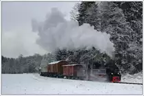 764-411R der Stainzer Bahn am 16.12.2018 rund zwei Kilometer nach der Ausfahrt aus Preding Richtung Stainz aufgenommen.