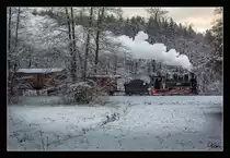 Winter Wonderland - Dampflok 764.411R der Stainzerbahn fährt mit einem Güterzug von Preding nach Stainz, aufgenommen in den Wäldern nahe Mannegg.
16.12.2018
