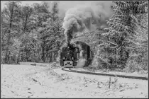 Durch den Tiefwinterlichen Zauberwald des Stainztals dampft Draculinchen für uns dahin. 
Hier kurz vor km2,0 an diesem 16.Dezember 2018