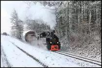 Mit jedem Abdampfstoß fiel frischer Schnee von den Bäumen..... 
764.411 R bei Einschnitt nach km 2,0 in Richtung Stainz. 
16.12.2018