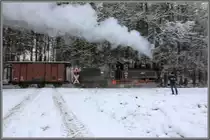 Ist es wohl was geworden ?? 
Ich denke Ja  !
Tom mit seiner Knipse nach getaner TAT. 
16.12.2018 im Wald vor Kraubath

http://www.bahnbilder.de/bild/oesterreich~schmalspurbahnen~stainzerbahn/1122967/achtung-unbeschrankter-bahnuebergang---dampflok-764411r.html
