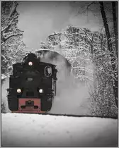 Da dampfen sie daher. 
Noch einmal Danke an Anton Max und Harry für diesen tollen Tag ! 
Wald bei Kraubath am 16.12.2018