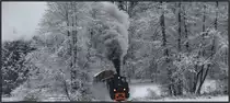 Aus den Wäldern hinaus dampft 764.411 R an diesem Winterlichen 3ten Adventsonntag ( 16.12.2018) 

