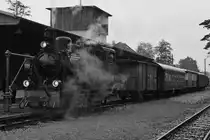 Lok 60  Bieberlies  im November 2018 am Bahnhof Hüinghausen.