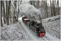 Einschnitt I - Winterdampf im Stainzertal - Draculinchen 764.411R fährt mit einem Fotogüterzug durch die Wälder nahe Kraubath. 16.12.2018