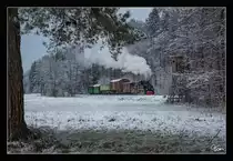 Vorbei am Hochsitz in den Wäldern nahe Manegg, zieht Draculinchen 764.411R einen Fotogüterzug in Richtung Stainz. Herzlichen dank an Anton, Max und Harry für das Ausharren in der Kälte!
16.12.2018 