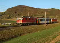 JAHRESRÜCKBLICK 2018
von Walter Ruetsch
Serie Nr. 7
Für die Zuckerrübenkampagne 2018 hatte die Schweizer Zucker AG die Rübentransporte umorganisiert. An Stelle von SBB CARGO wurde mit den privaten Firmen Swiss Rail Traffic für Frauenfeld und Sersa für Aarberg zusammen gearbeitet. Das neue Konzept führte zu sehr interessanten und abwechslungsreichen Fahrzeugeinsätzen im Streckendienst sowie auf den Verladebahnhöfen im Rangierdienst.
Der bei den Bahnfotografen während der Rübensaison 2018 beliebteste Rübenzug stand im Dienste der Eisenbahndienstleister GmbH. 
Nach mehreren erfolglosen Versuchen sowie einem Ausharren von mehreren Stunden erwischte ich am 25. Oktober 2018, nur wenige Tage vor der Umstellung auf die Winterzeit, wenigstens noch den Lokzug  bestehend aus zwei nicht erkennbaren Re 420 und dem DSF RBe 540 072 im allerletzten Sonnenlicht bei Frick.   
