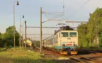 362 110-9 mit R 605 zu sehen am 09.05.18 in Tršnice beim Sonnenaufgang.
