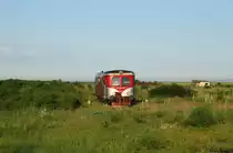Auf dem mittlerweile stillgelegten Abschnitt Ziimnicea-Alexandria rumpelt 77 0936 mit einem R von Zimnicea nach Rosiorii Nord bei Izvoarele durch das Gestrüpp am 30.05.17.