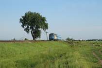 62 1149 mit einem R von Rosiorii nach Alexandria bei Peretru.