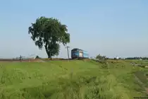 62 1149 mit einem R von Rosiorii nach Alexandria bei Peretru.