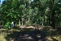 Blick über ein nicht mehr genutztes Nebengleis in Berlin Wuhlheide.

Berlin 24.07.2018