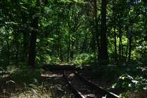 Eine Art natürlicher Prellbock könnte man sagen. Auf dem stillgelegten Abschnitt liegt ein umgestürzter Baum.

Berlin 24.07.2018