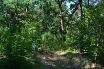 Viele Teile des stillgelegten Abschnitts sind schon stark zugewachsen.

Berlin 24.07.2018