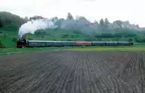 80 106  bei Sulzbach  17.05.87