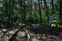 Langsam aber stetig holt sich die Natur den stillgelegten Streckenabschnitt der Berliner Parkeisenbahn zurück.

Berlin 24.07.2018