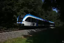 VT63.08 auf der Fahrt nach Wies-Eisbiswald. In dem Waldstück kurz vor Schwanberg befand sich noch 2016 ein mit Andreaskreuz gesicherter Bahnübergang, der zum Zeitpunkt des Fotos verschwunden war. (12.09.2018)