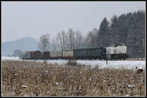 Auch wenn das Sonnenblumenfeld etwas an Farbe verloren hat lockert es das Winterbild etwas auf. 
Auf dem Rückweg nach Graz zieht 2170.001 alias DH 1700.2 ihren Güterzug nächst Dietmannsdorf. 
