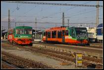 810 492 und 654 014 nebeneinander im Bahnhof Ceske Budejovice am 21.01.2019.