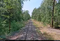 Eine Fahrt auf der Bahnstrecke Dessau–Gohrau-Rehsen (KBS 257) mit 670 003-2  Fürstin Louise  der Dessauer Verkehrs- und Eisenbahngesellschaft (DVE) als DWE75710 von Dessau Hbf nach Wörlitz...
Blick auf einen für mehrere Kilometer geradlinigen Streckenabschnitt zwischen dem Hp Dessau Adria und dem Hp Kapen Biosphärenreservat.
[1.8.2018 | 14:34 Uhr]