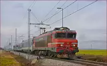 SŽ 363-031 zieht MV247 'Citadella' durch Cirkovce-Polje Richtung Budapest. /29.1.2019