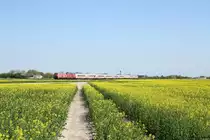 218 830 und 218 379 mit einem IC nach Westerland am 08.05.18 bei Klanxbüll.