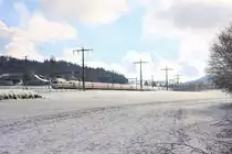 Schnelle Züge zwischen Thun und Bern (bei Gümligen): Der DB ICE Zug 401 072/572 im grellen Licht der noch tiefstehenden Morgensonne. 29.Januar 2019 