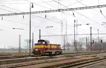 ČD 731 028 // Počerady // 1. Februar 2019
