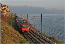 Im Abendsonnenlicht schiebt eine SBB Re 460 bei St-Saphorin ihren IR 1827 Richtung Wallis.

25. Jan. 2019 