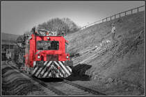 Baumschnitt im Leibenfeld. 
DM 100.1 mit einem Kbkm und der  Spinne  auf dem Rücken.
5.02.2019 
