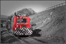 Baumschnitt im Leibenfeld. 
DM 100.1 mit einem Kbkm und der  Spinne  auf dem Rücken.
5.02.2019 
