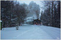 Winterdampf im Erzgebirge - Bei heftigem Schneefall, fuhr die 99 1794 der Fichtelbergbahn, an unserem Fotostandpunkt in Kretscham-Rothensehma vorbei. 03.02.2019
