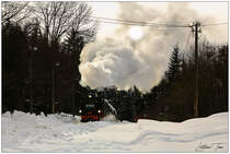 Glint - Im Gegenlicht dampft die 99 1794 über die Steigung vor Kretscham-Rothensehma. 31.01.2019