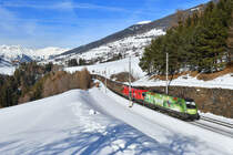 1016 020 + 1016 021 mit GAG 49839 am 06.02.2019 bei Mühlbachl. 