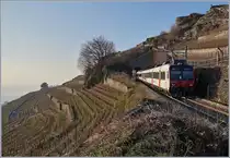 Nochmals der SBB Domino als Train des Vignes, diesmal im Gegenlicht auf seiner Fahrt von Vevey nach Puidoux oberhalb von St-Saphorin unmittelbar vor dem 20 Meter langen Salanfe Tunnel.
25. Jan. 2019