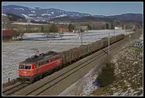 1142 564 mit Güterzug zwischen Fentsch St.Lorenzen und Knittelfeld am 4.2.2019.