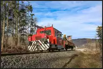 Auf geht's ins Gebüsch. 
DM 100.1 mit einer Spinne auf dem Rücken holt sich die nächsten Stauden. 
13.02.2019