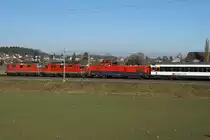 Überraschungszug bei Bollodingen vom 18. Februar 2019 bestehend aus zwei Re 420, einer Aem 940 sowie einem EW IV. Diese seltene Komposition wurde auf der Fahrt in Richtung Olten verewigt.
Foto: Walter Ruetsch
