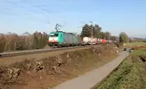 Die Cobra 2833 kommt aus Richtung Aachen-West und fährt die Gemmenicher-Rampe hoch mit einem Containerzug aus Gallarate(I) nach Antwerpen-Combinant(B) aus Richtung Aachen-West und fährt in Richtung Montzen/Belgien. 
Aufgenommen an der Montzenroute am Gemmenicher-Weg.
Bei schönem Frühlingswetter am 16.2.2019.