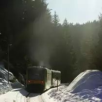Von der letzten Abendsonne beschienen verlässt ein 650-Doppel der Waldbahn den Haltepunkt Bettmannsäge in Richtung Plattling (15.02.2019)