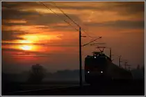 Nochmal meine Sumsi an diesem Morgen zwischen Werndorf und Wildon. 
21.02.2019